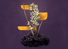 What Does It Mean to Forgive?