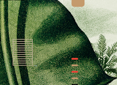 What Does “Coram Deo” Mean?