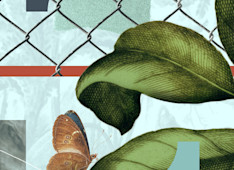 Christ’s Call to Make Disciples