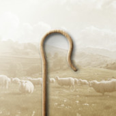 What Does a Pastor Do? 