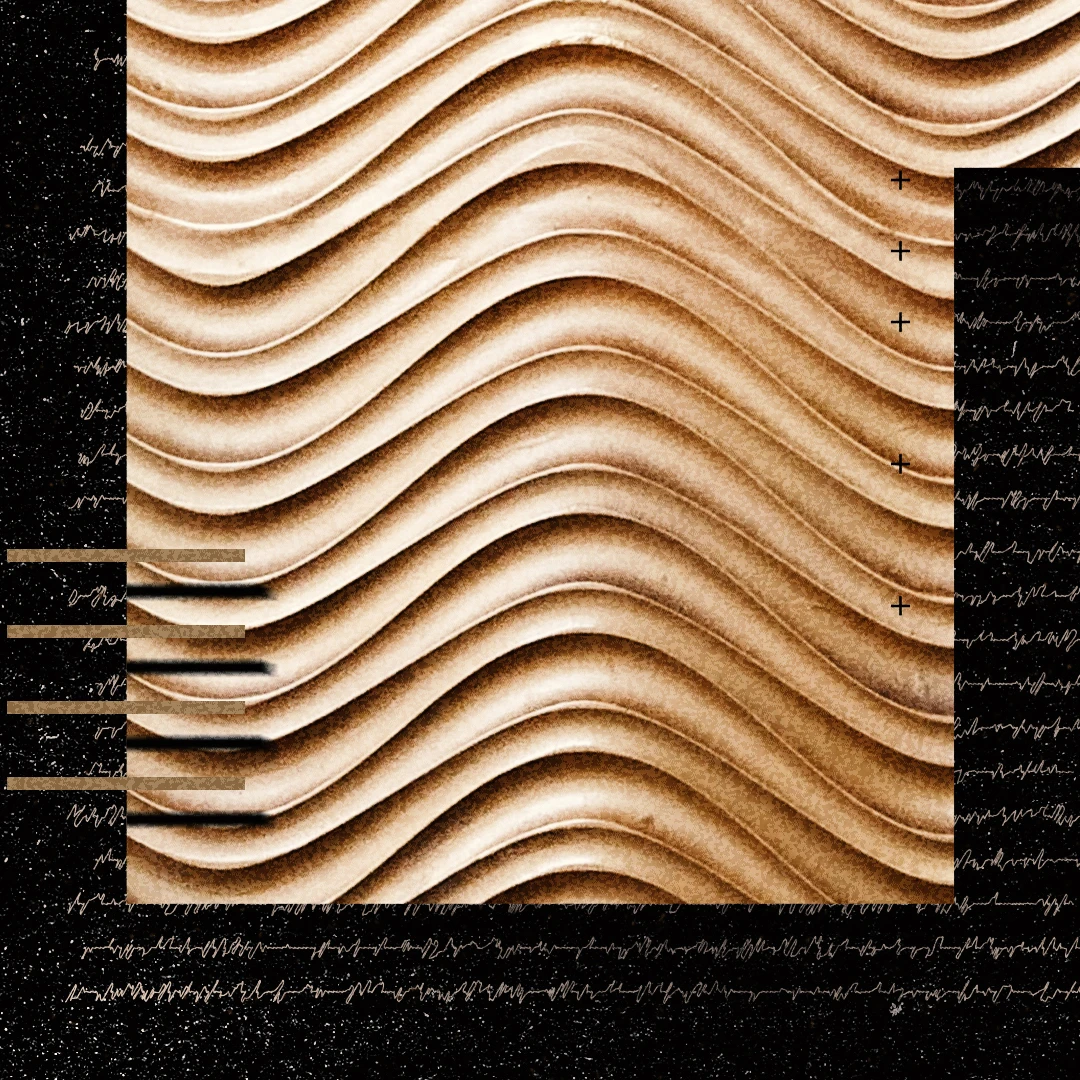 The Proverbs by Robert Rothwell