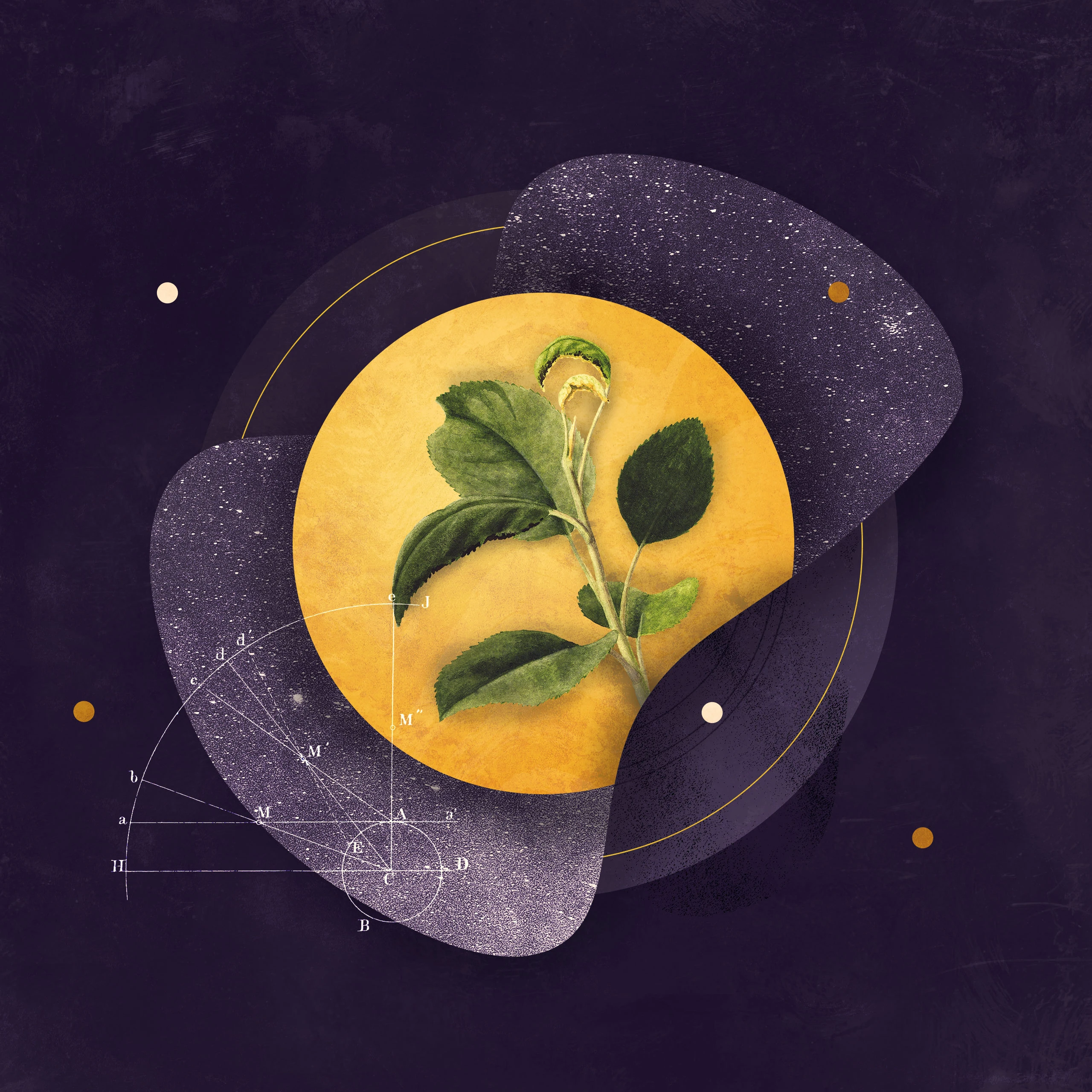 Help for Homesick Hearts by Rebecca VanDoodewaard