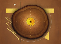 The Blessing of Godly Grandparents