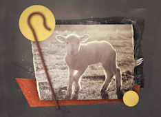 Shepherding Children through Hardships and Trials