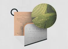 Creeds and Confessions