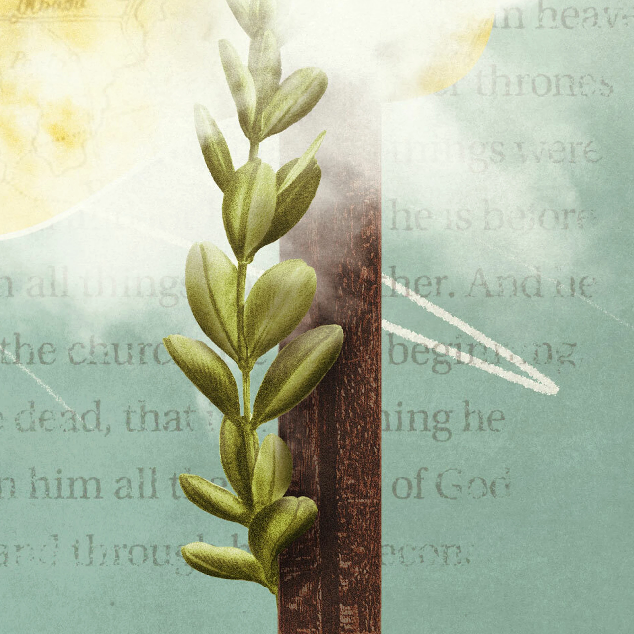 Observing Baptism as a Means of Grace by Matt Ryman