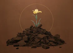 Thanksgiving in Suffering