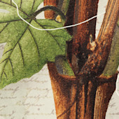 The Da Vinci Conspiracy