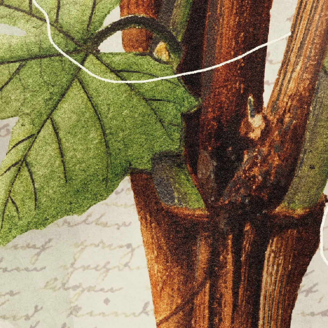 The Da Vinci Conspiracy by R.C. Sproul