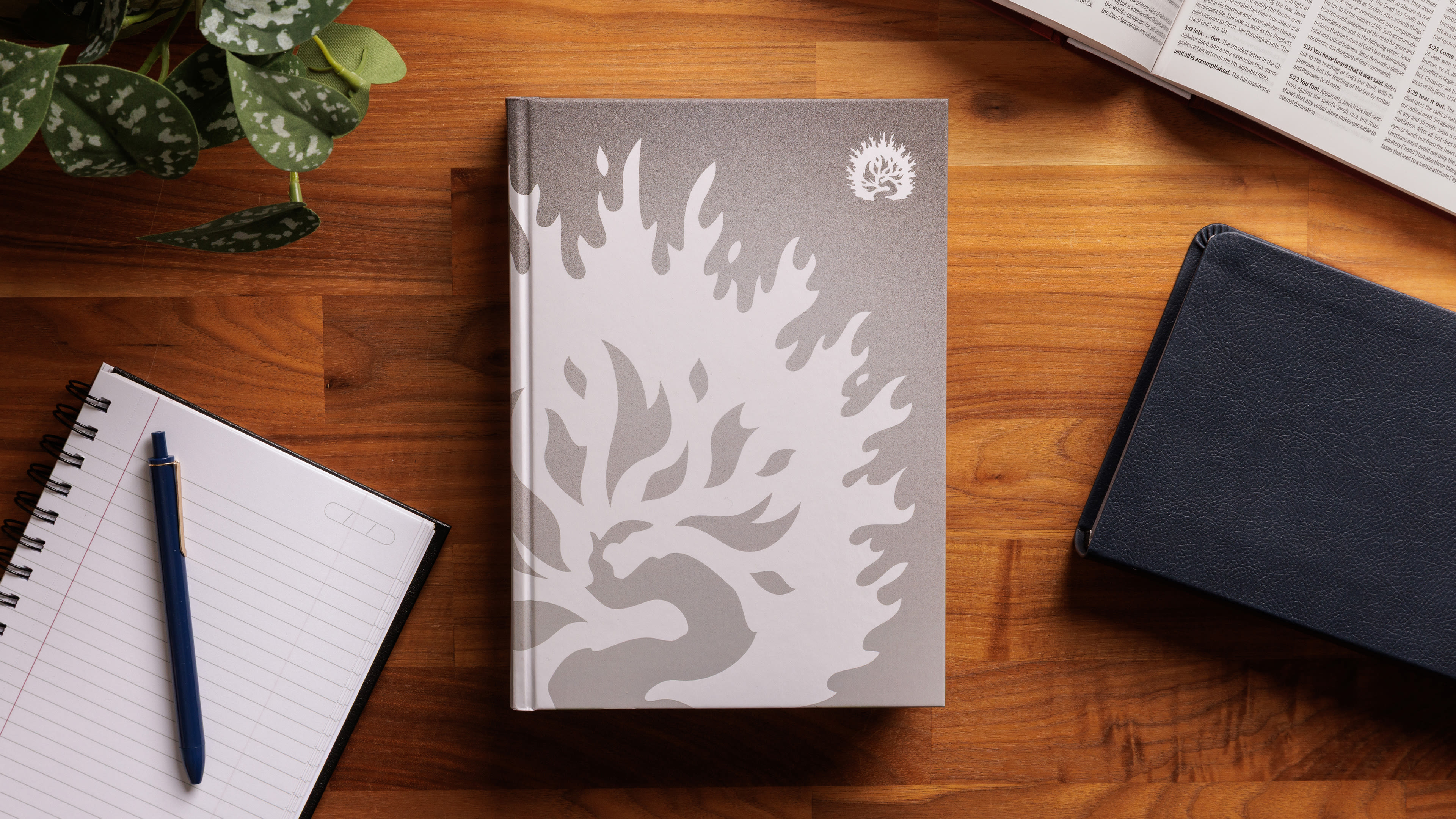 3840x2160 16 9 spring 26 study bible sale