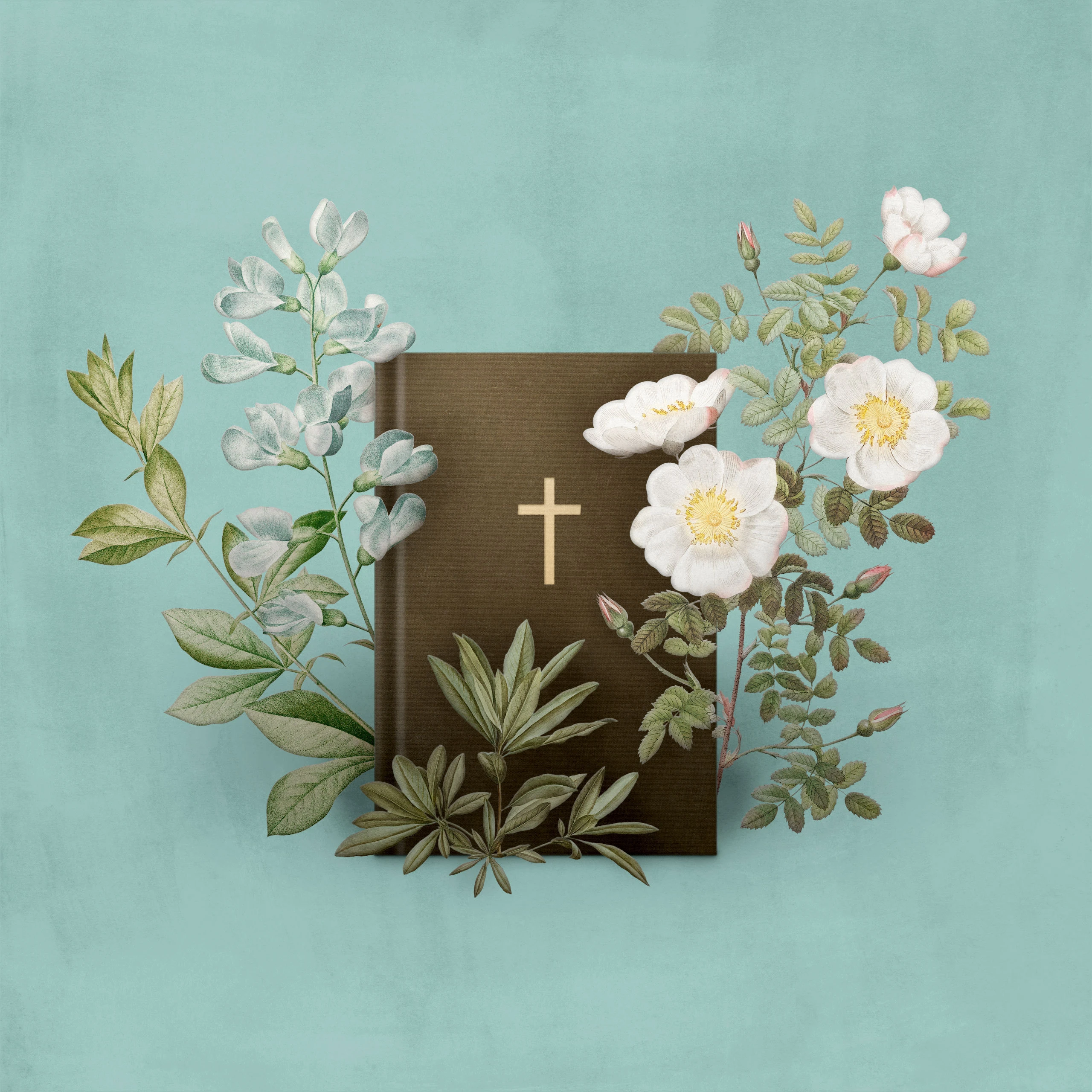 Is the Bible the Word of God? by Michael Kruger