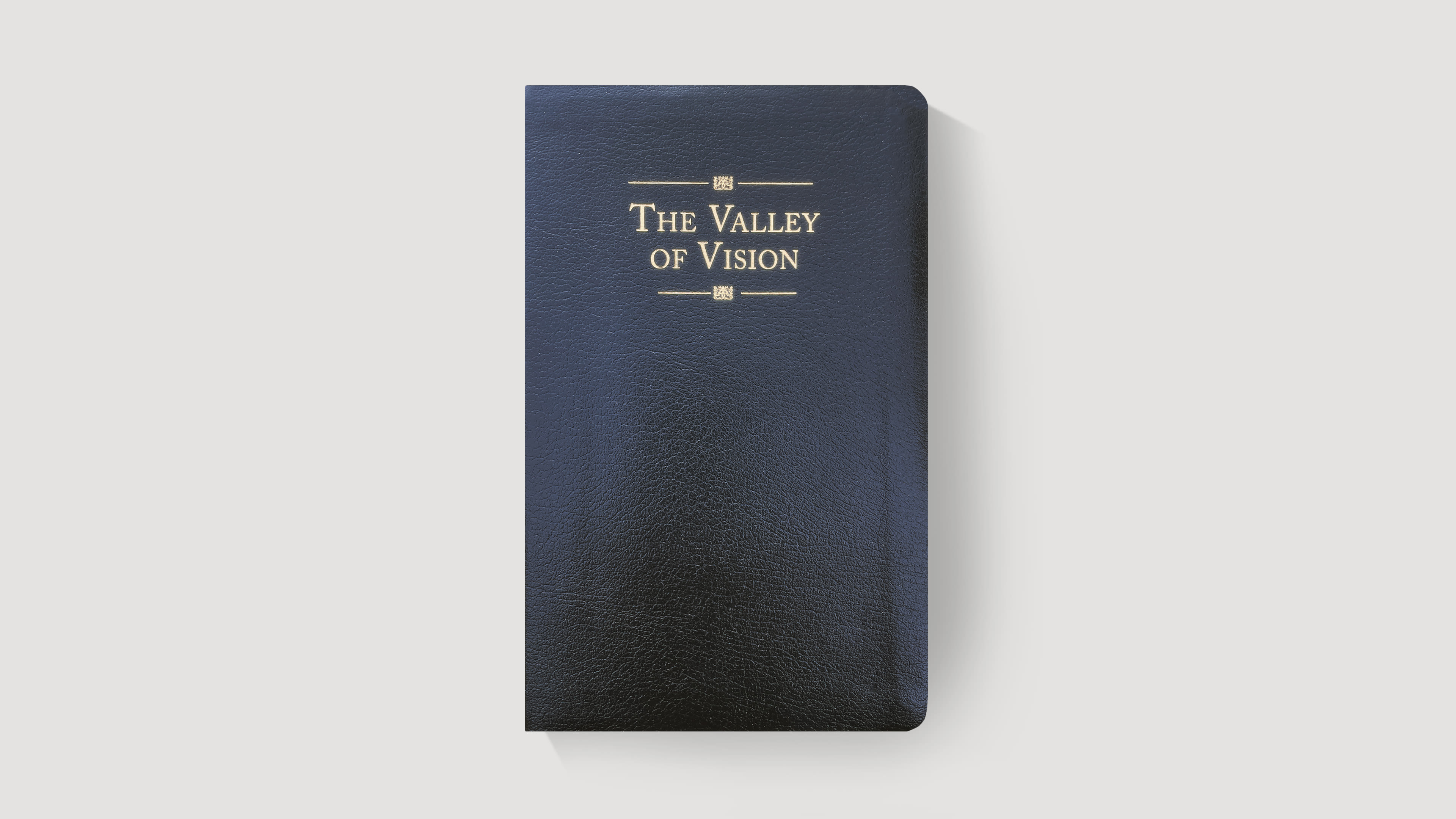 3840x2160 April 26 Digital Appeal VAL01BL