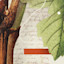 List Logo