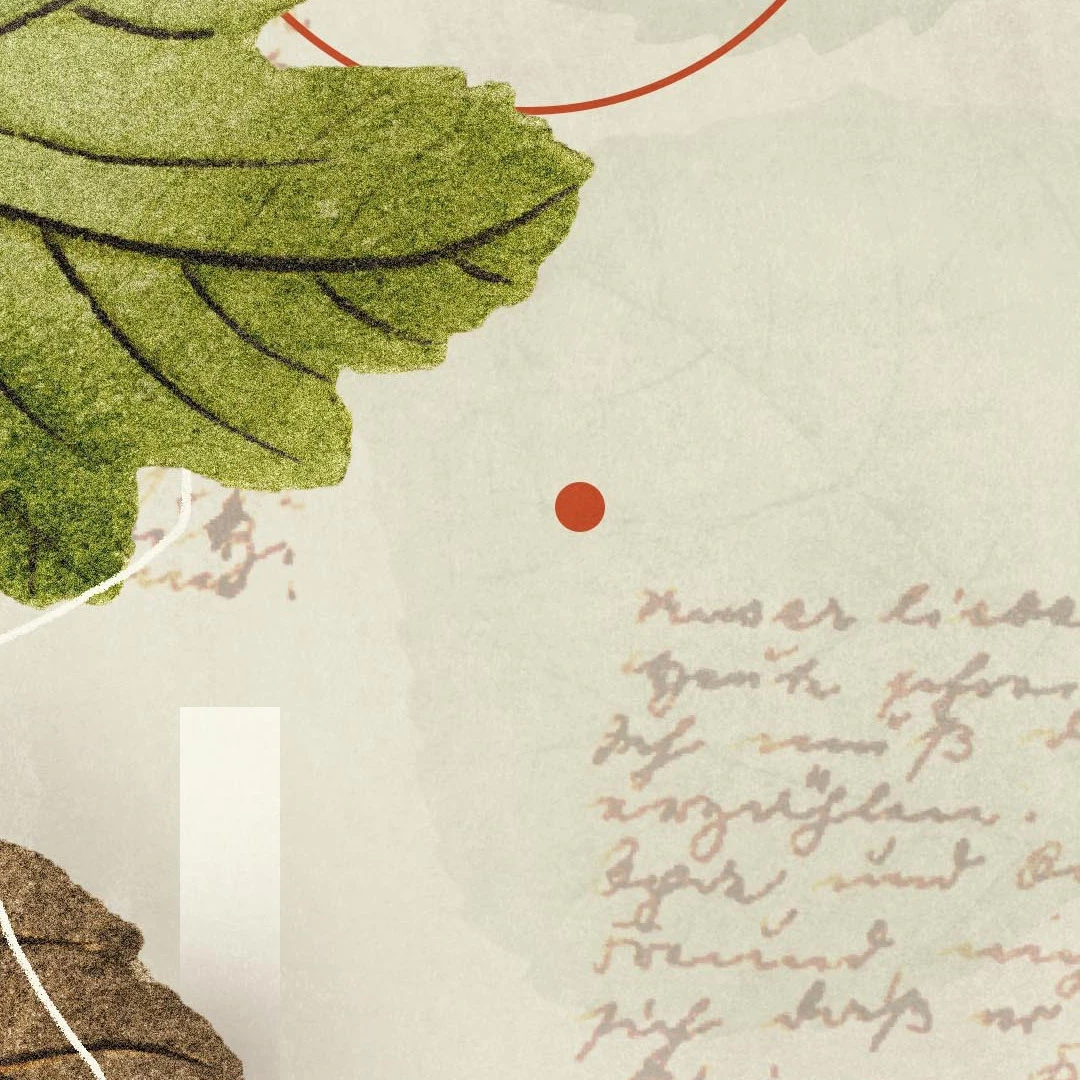 The Bible in English by Stephen Nichols