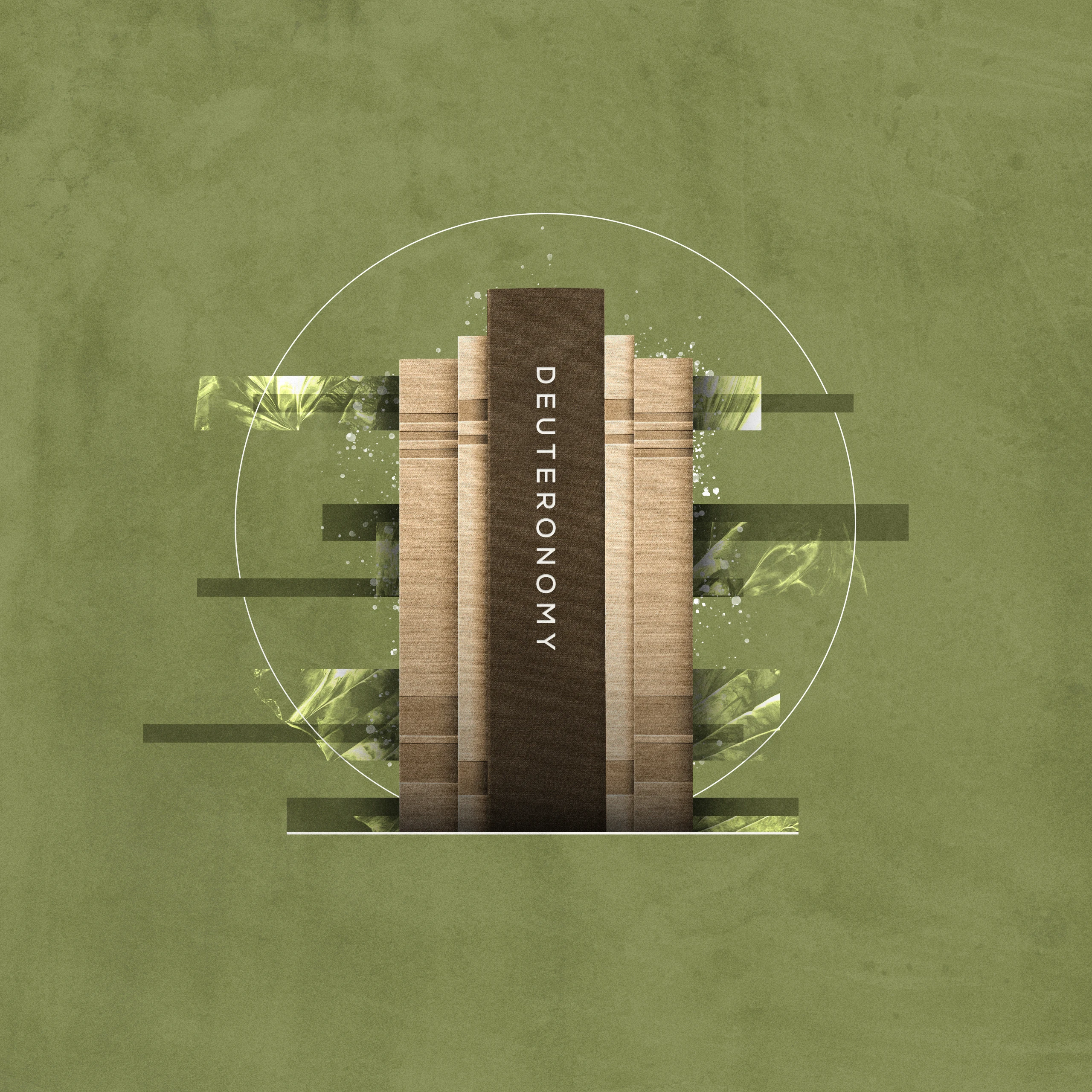 Top 5 Commentaries on the Book of Deuteronomy 