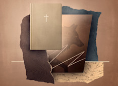 3 Things You Should Know about 2 Peter