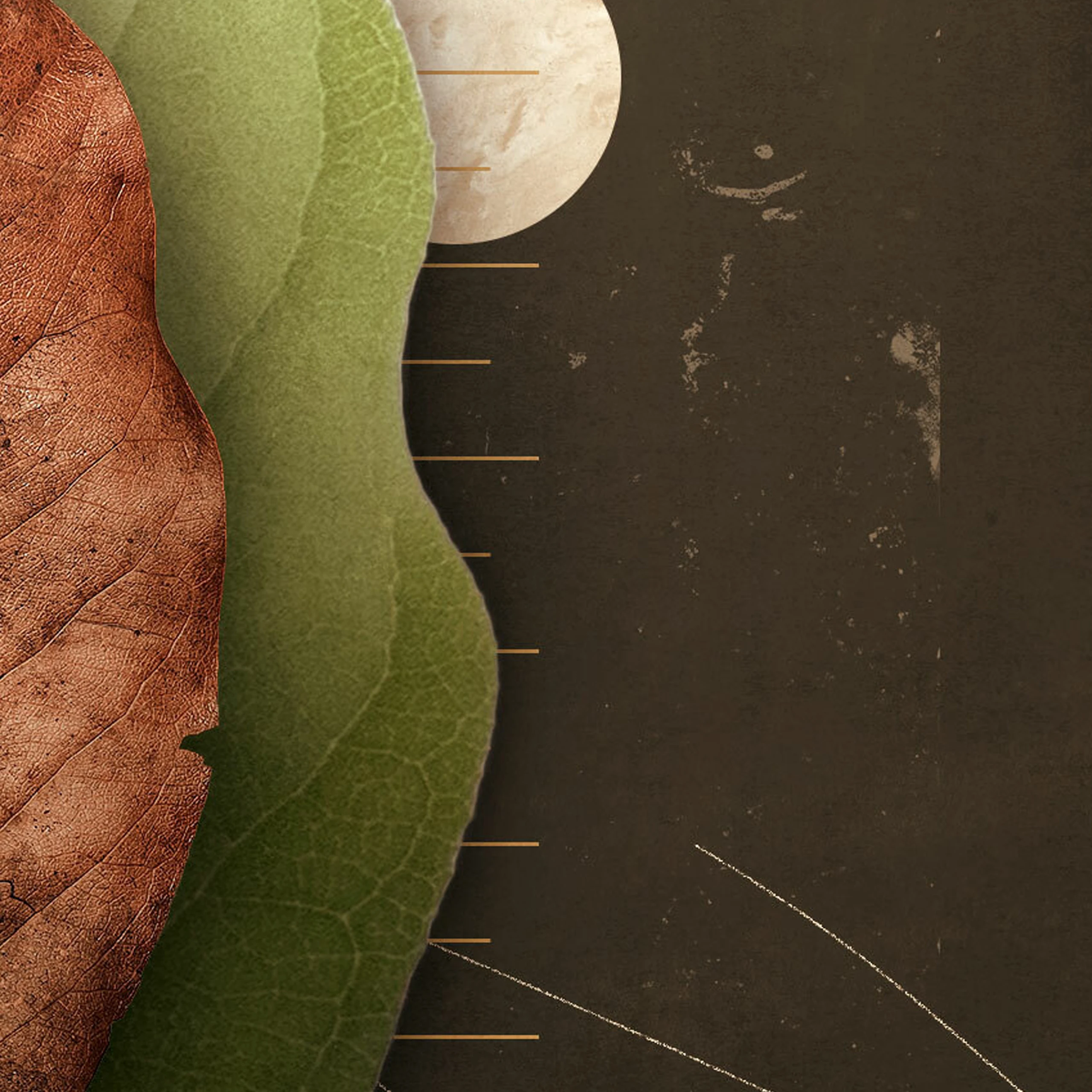 The Christian and Science by R.C. Sproul