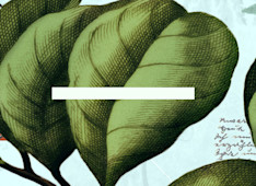 War and Peace with a Holy God