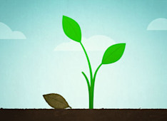 21 Reasons That the Handwriting Is on the Wall for the Abortion Industry