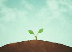 What Do We Mean When We Speak of the “Sanctity of Human Life”?