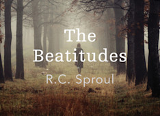 Blessed are the Merciful