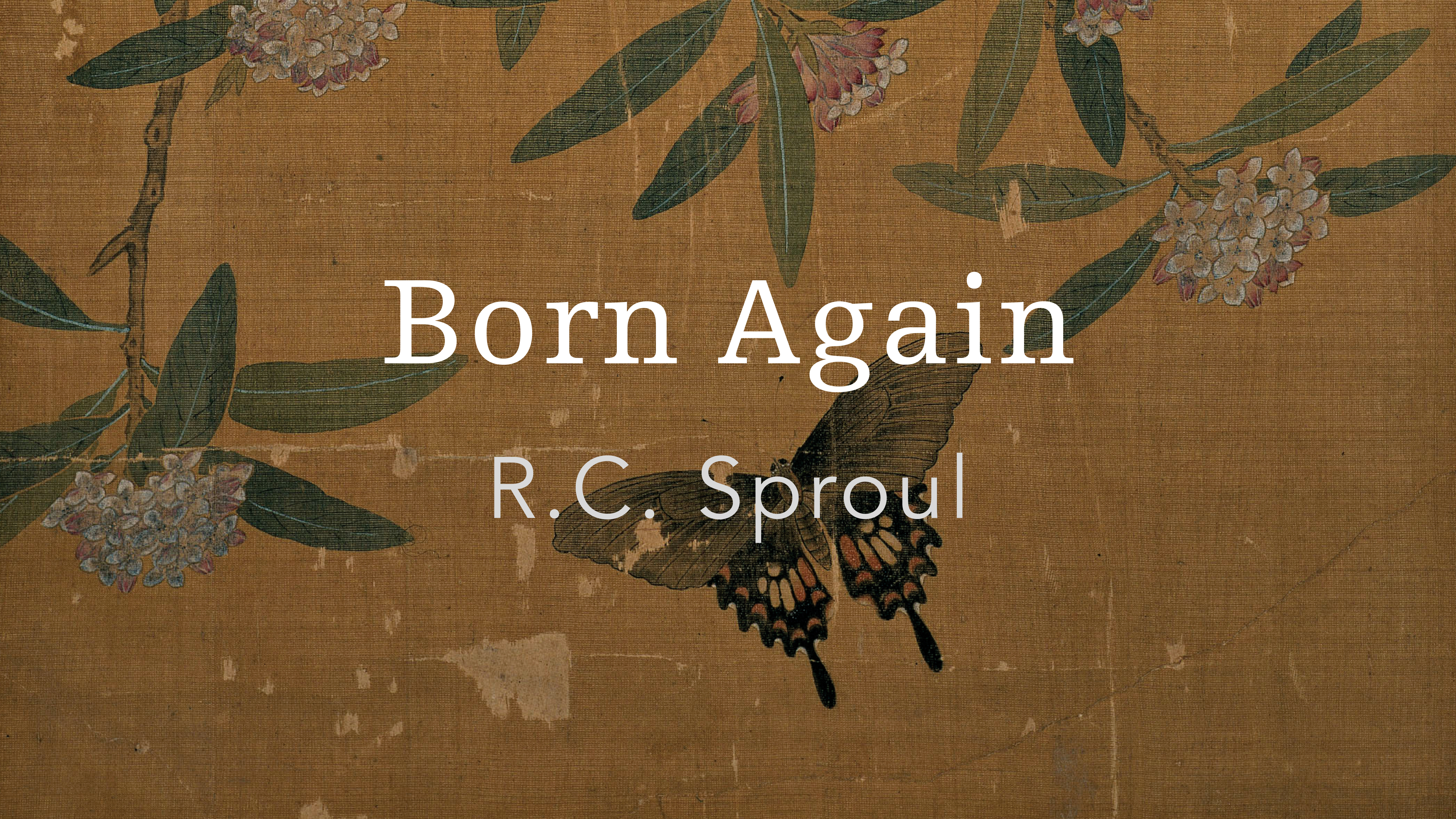 Must I Be Born Again?