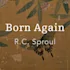 Must I Be Born Again?