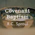 The Baptism of John