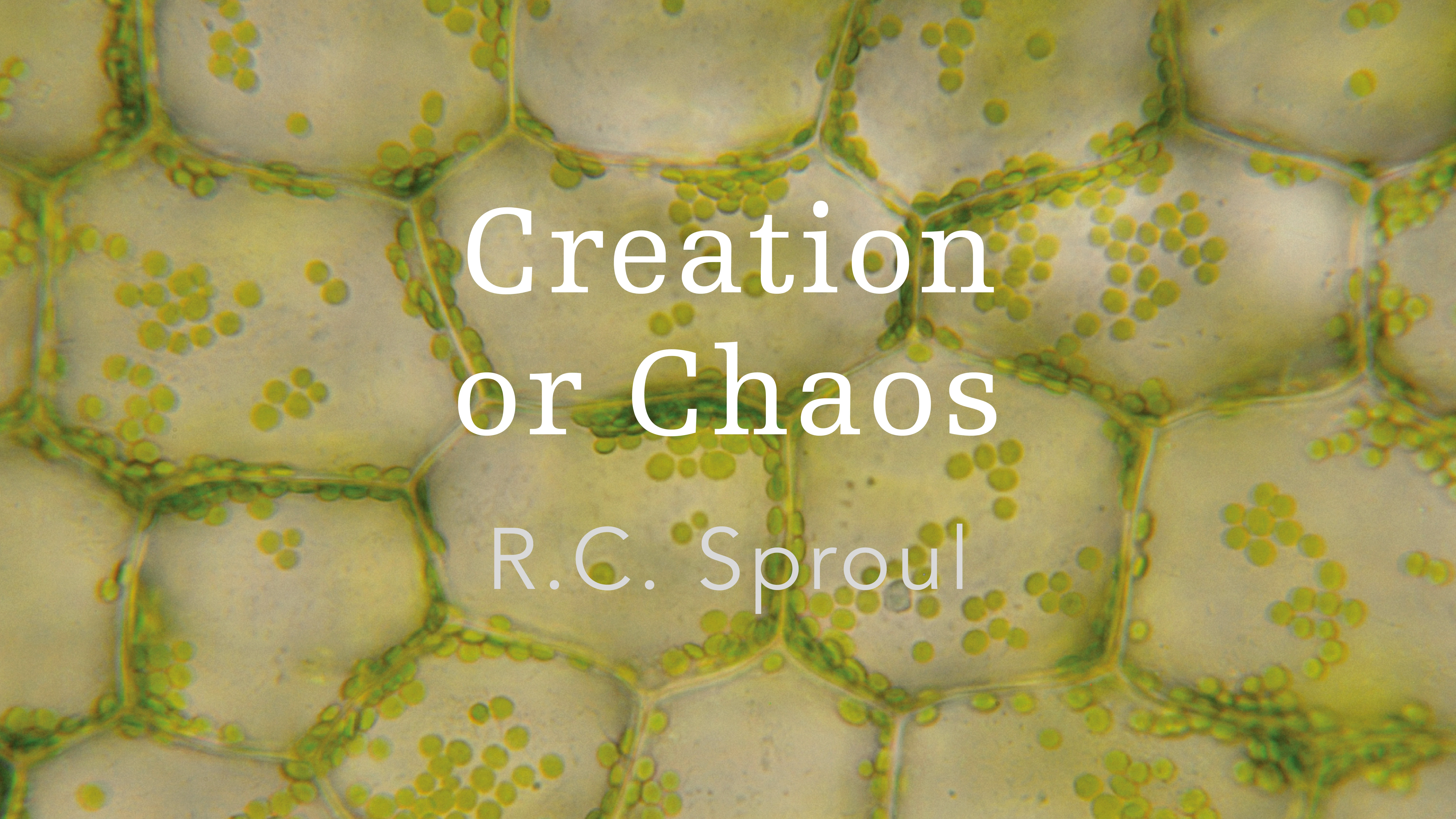 Creation or Chaos