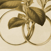 The Marriage Feast