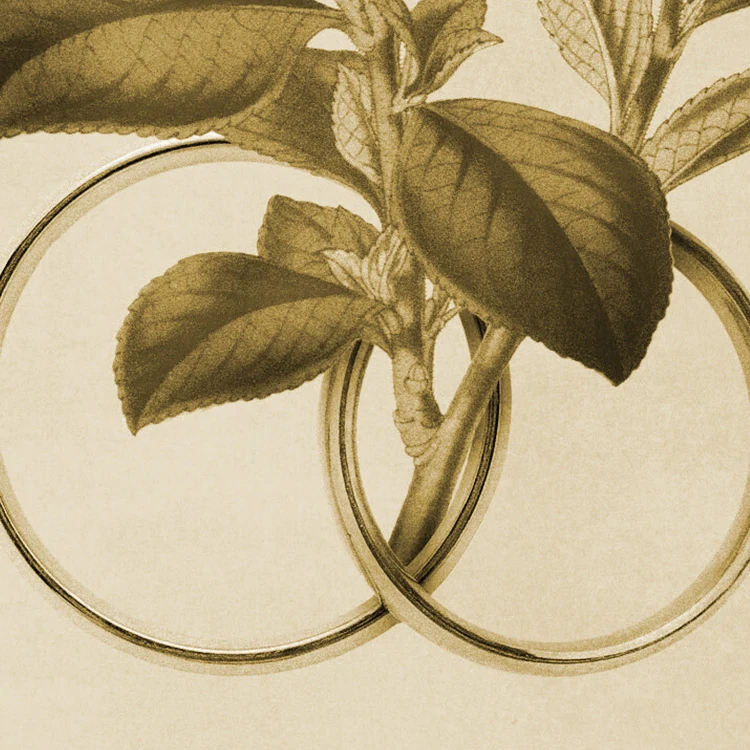 The Marriage Feast by R.C. Sproul