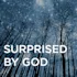 The Lamb Who Reigns