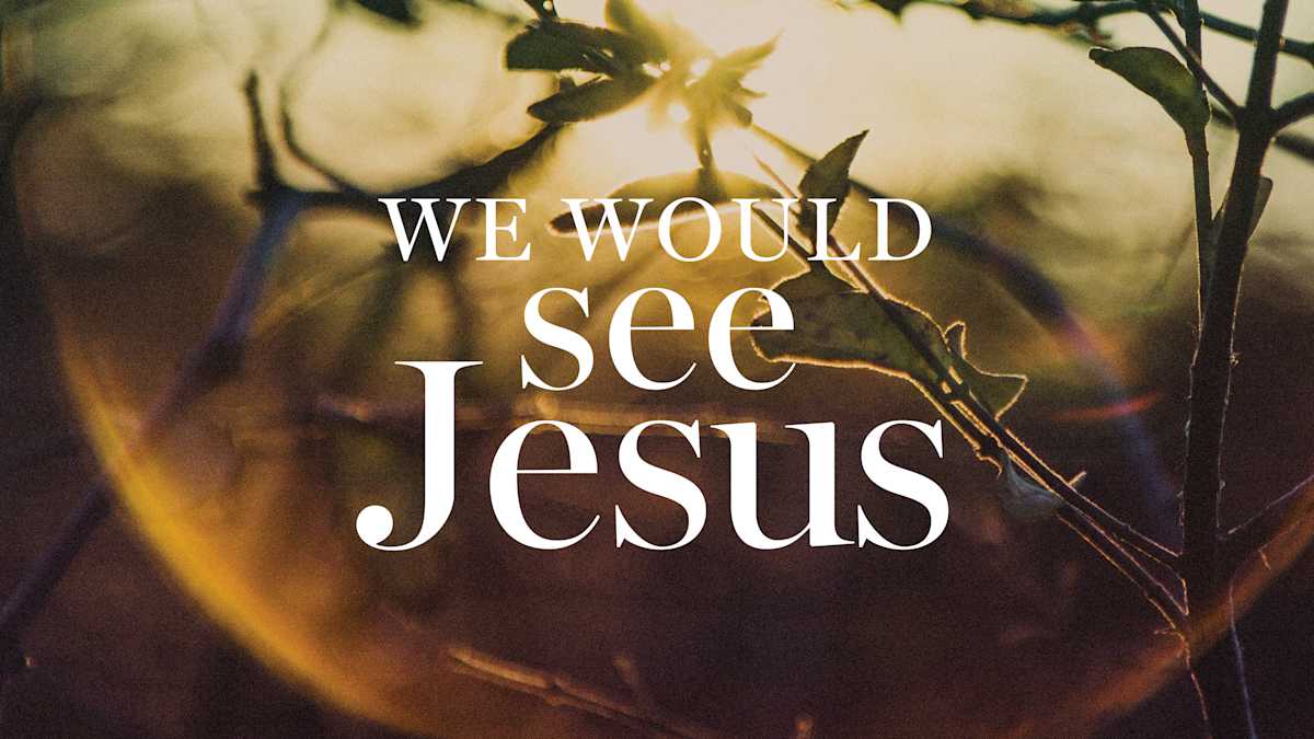 We Would See Jesus Verse