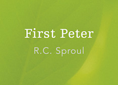 A Life of Submission