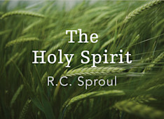The Spirit's Work of Sanctification