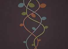 How Do We Become Spiritually Mature?