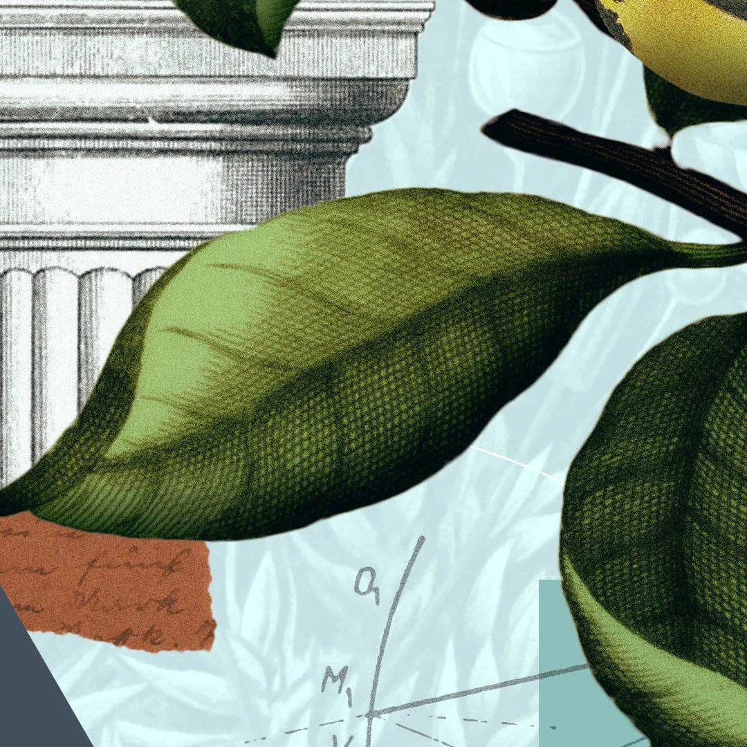 Thriving at College by Alex Chediak