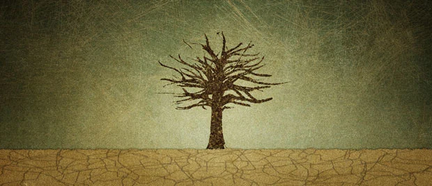 Jesus' Thirst and Our Spiritual Rehydration by William Boekestein