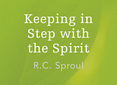 The Obstacle of the Flesh