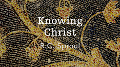 Knowing Christ: The I AM Sayings of Jesus