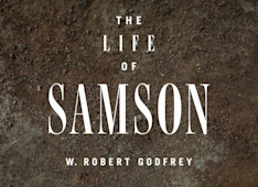 The Promise of Samson