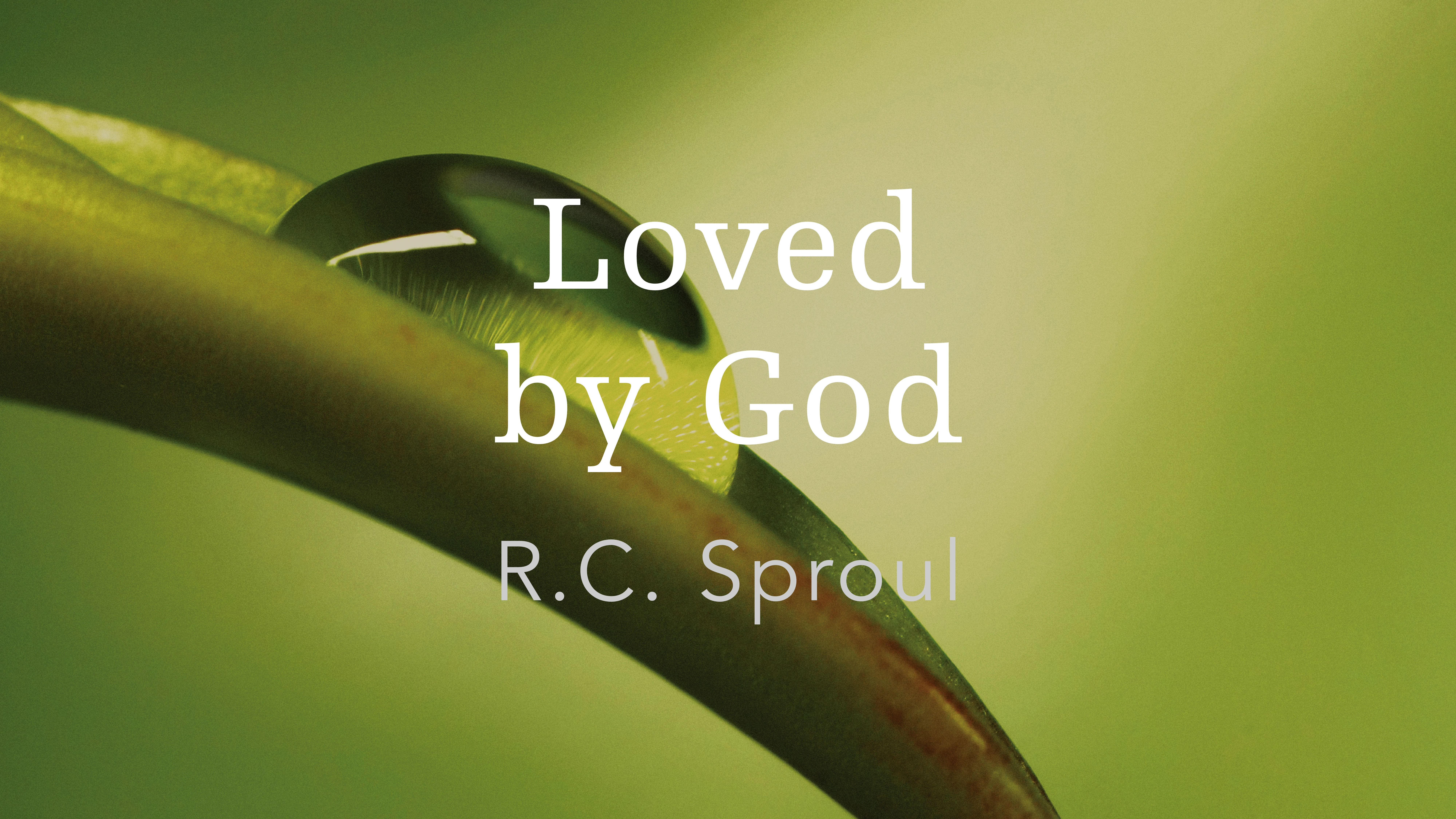 Loved by God
