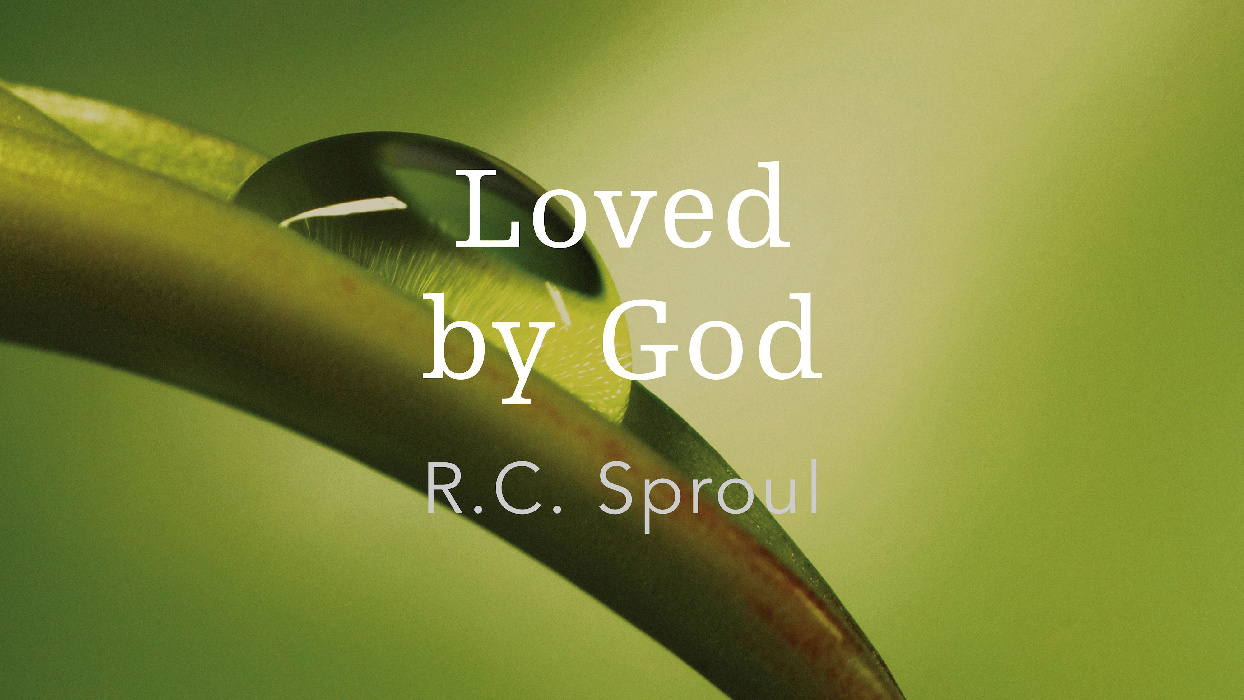 Loved by God by R.C. Sproul | Ligonier Ministries