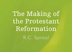 The Making of the Protestant Reformation