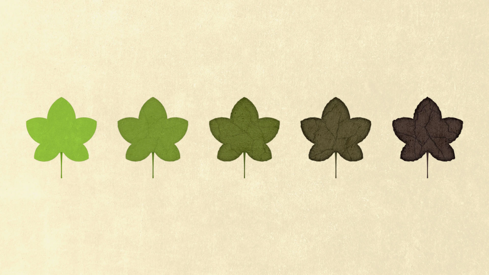 Many Hear the Gospel with Joy but Don’t Continue in the Faith