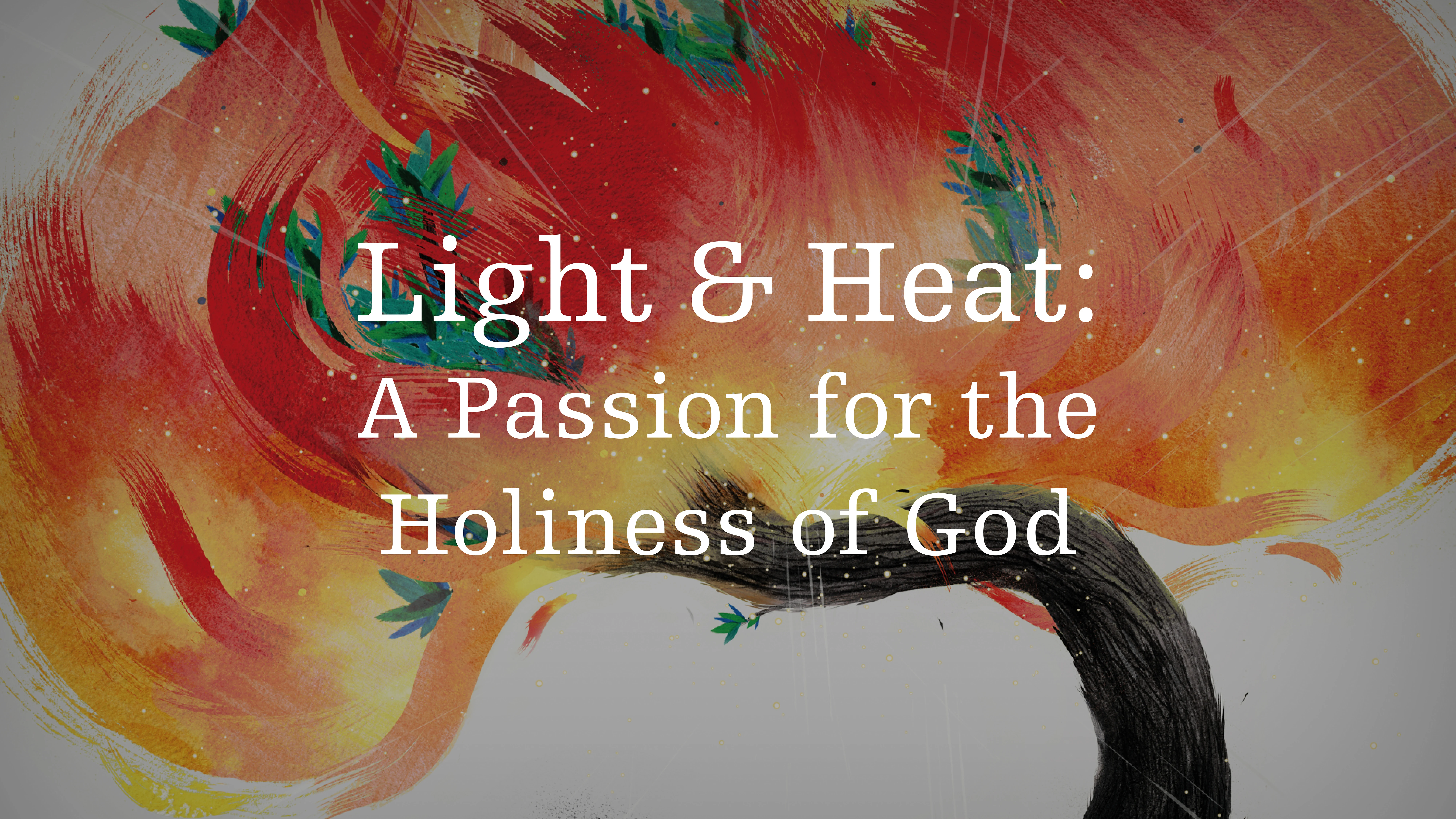 Light & Heat: A Passion for the Holiness of God: 2011 National Conference