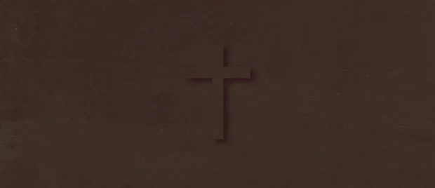 Obscene, yet Beautiful