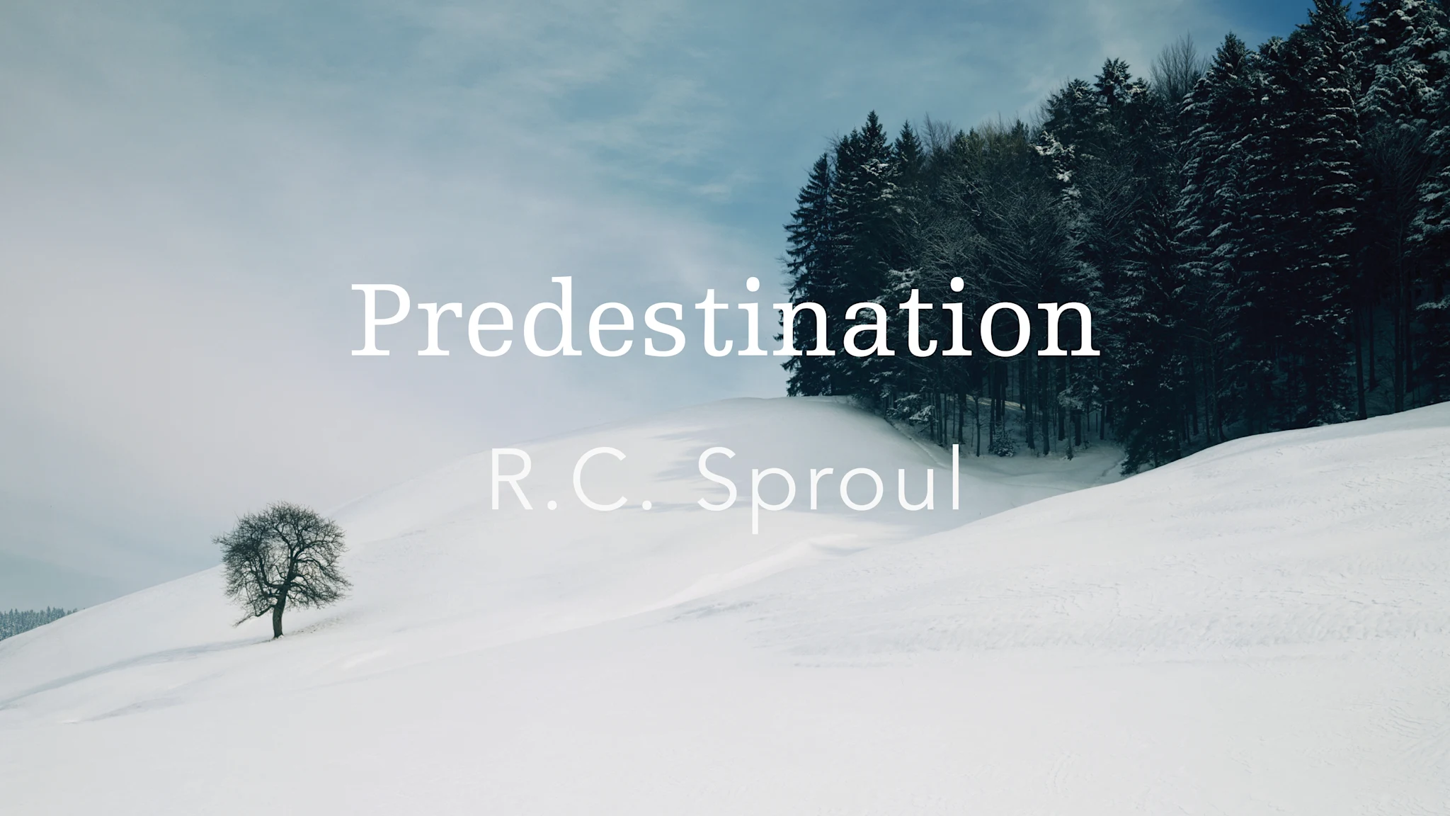 Predestination by R.C. Sproul | Ligonier Ministries