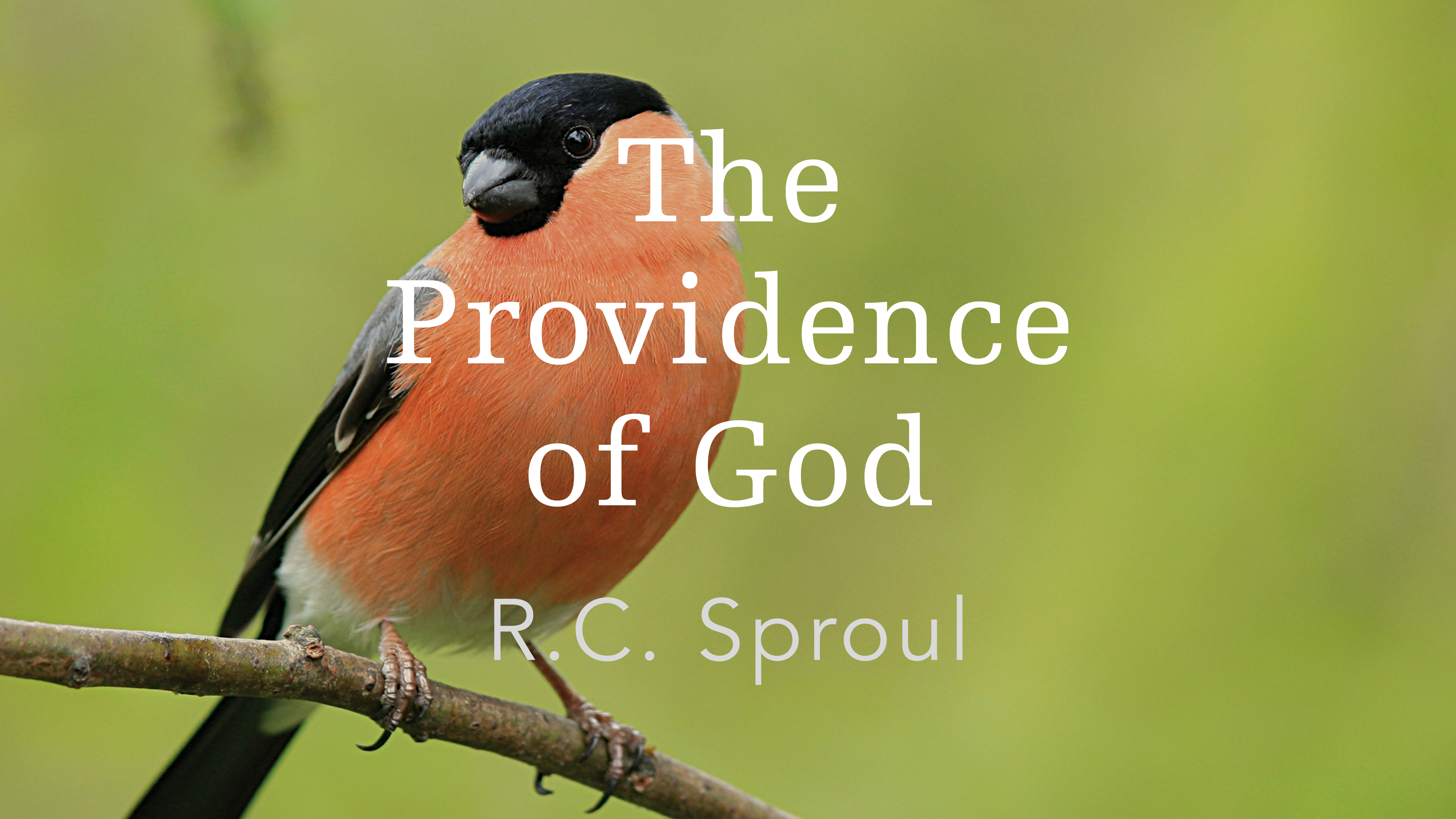 The Providence of God