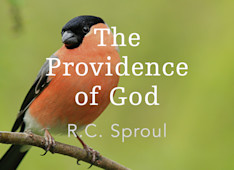 If God Knows Our Needs, Why Pray?